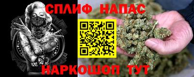 амф Кимры