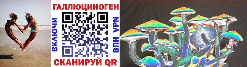 Галлюциногенные грибы Psilocybine cubensis  Россошь 