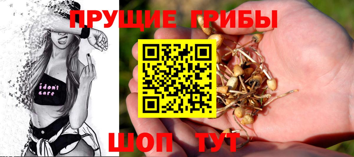 Галлюциногенные грибы прущие грибы  где купить наркоту  Россошь  Вход с VPN 